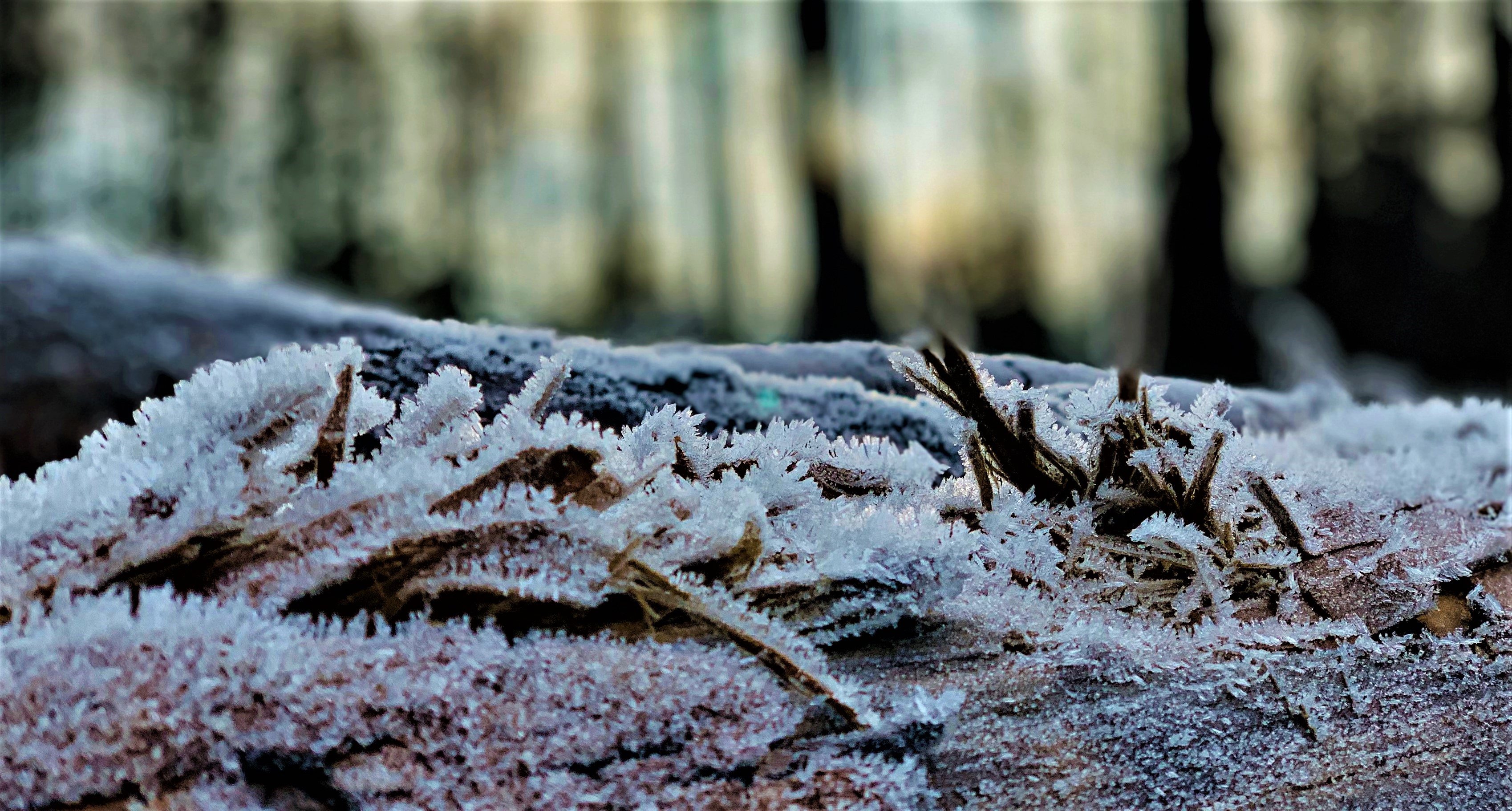 WINTER 4